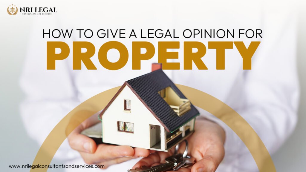 NRI Legal Services